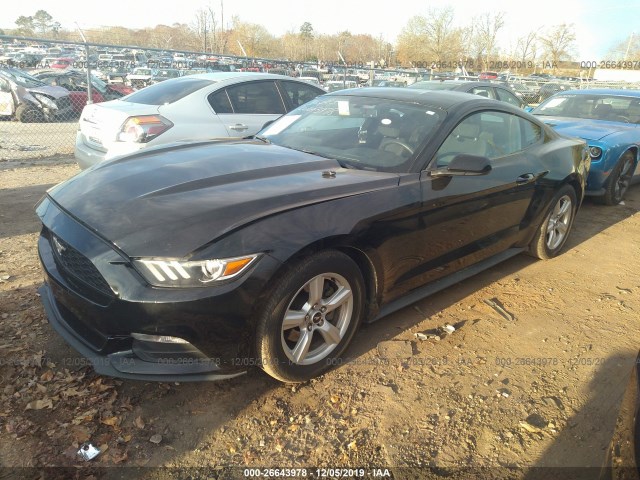 Photo 1 VIN: 1FA6P8AM4F5365577 - FORD MUSTANG 