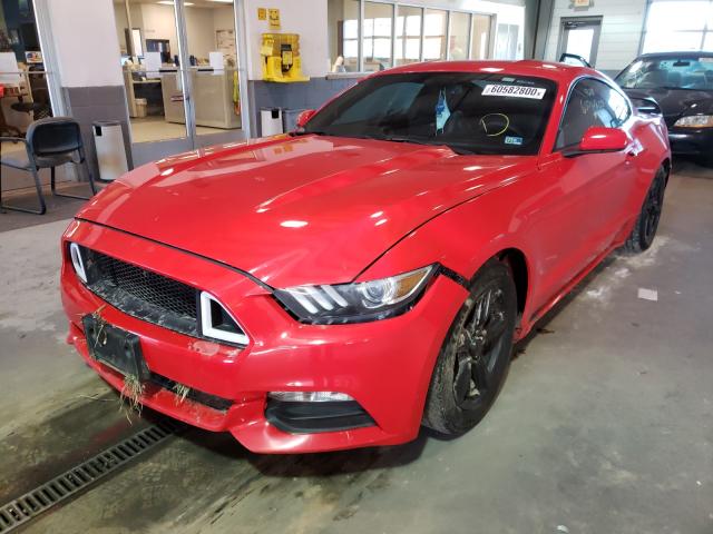 Photo 1 VIN: 1FA6P8AM4F5374697 - FORD MUSTANG 