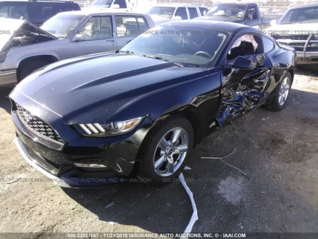 Photo 1 VIN: 1FA6P8AM4F5380161 - FORD MUSTANG 