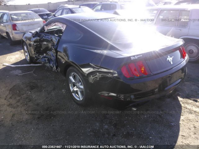 Photo 2 VIN: 1FA6P8AM4F5380161 - FORD MUSTANG 