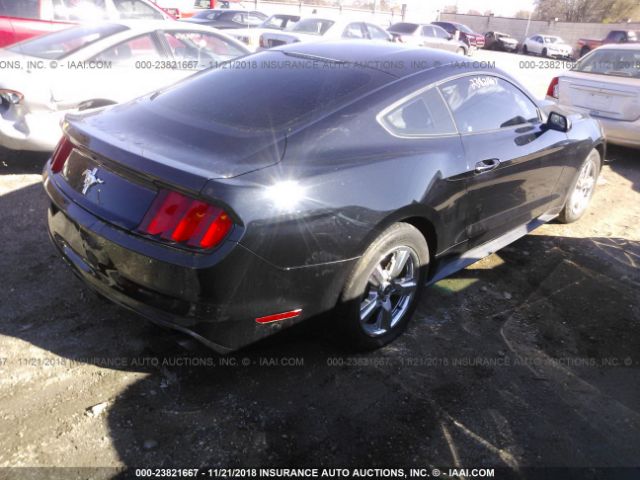 Photo 3 VIN: 1FA6P8AM4F5380161 - FORD MUSTANG 