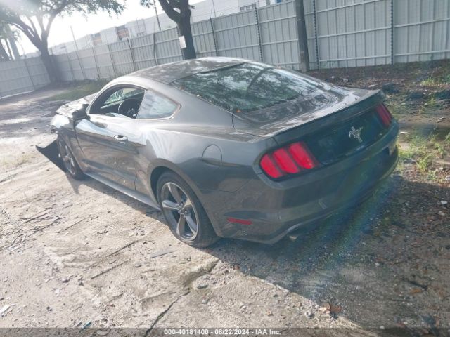 Photo 2 VIN: 1FA6P8AM4F5387756 - FORD MUSTANG 