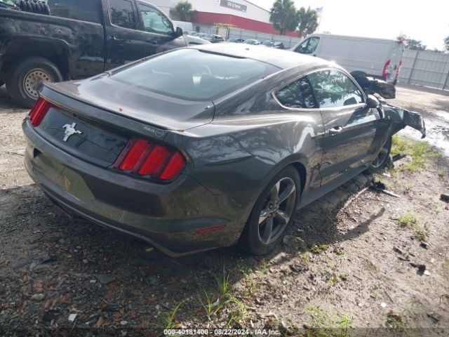 Photo 3 VIN: 1FA6P8AM4F5387756 - FORD MUSTANG 