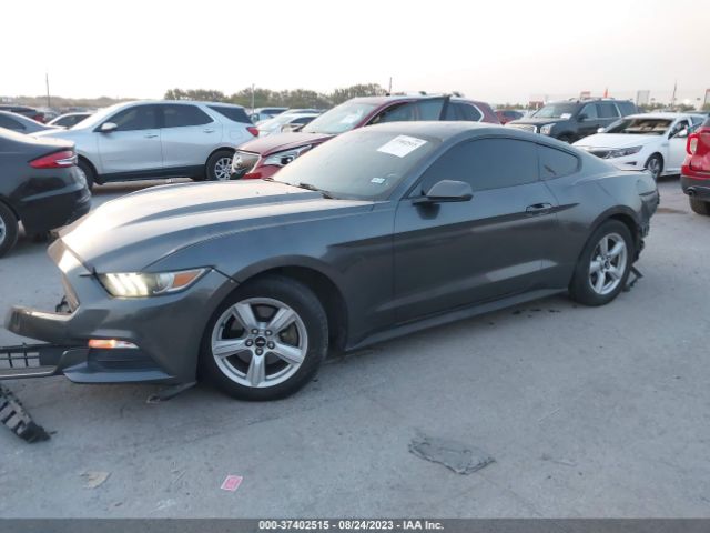 Photo 1 VIN: 1FA6P8AM4F5406807 - FORD MUSTANG 