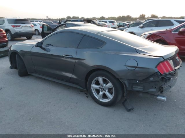 Photo 2 VIN: 1FA6P8AM4F5406807 - FORD MUSTANG 