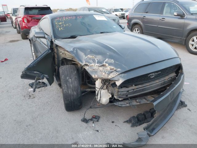 Photo 5 VIN: 1FA6P8AM4F5406807 - FORD MUSTANG 