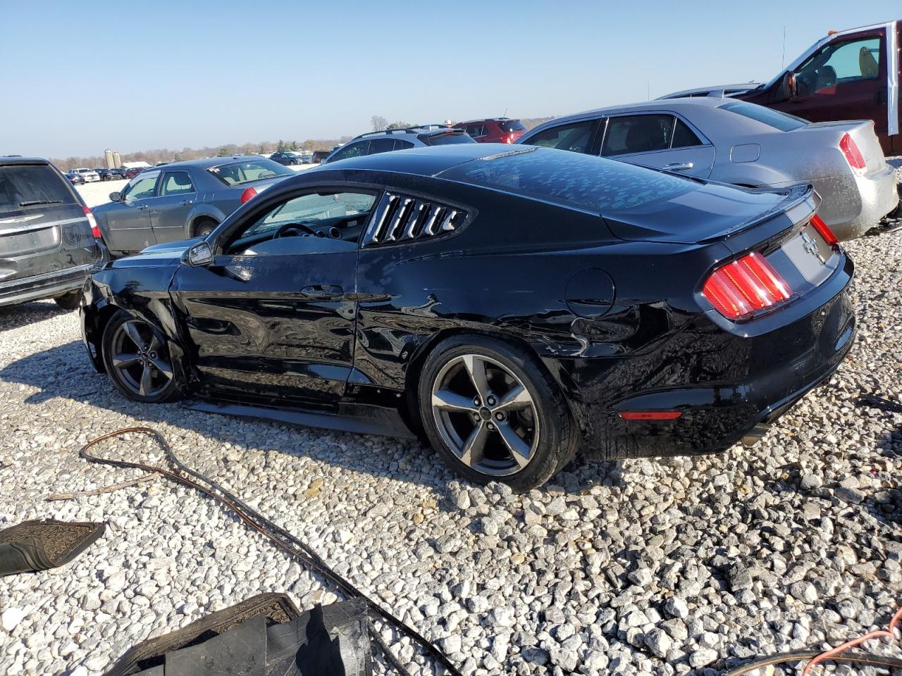 Photo 1 VIN: 1FA6P8AM4F5424563 - FORD MUSTANG 