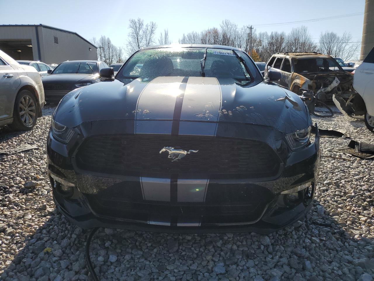 Photo 4 VIN: 1FA6P8AM4F5424563 - FORD MUSTANG 