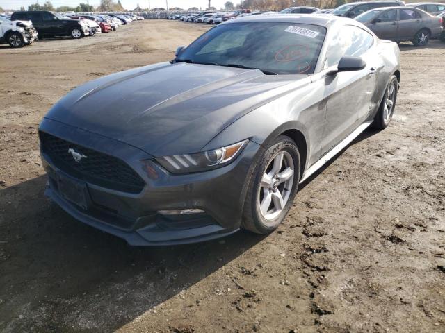 Photo 1 VIN: 1FA6P8AM4F5426197 - FORD MUSTANG 