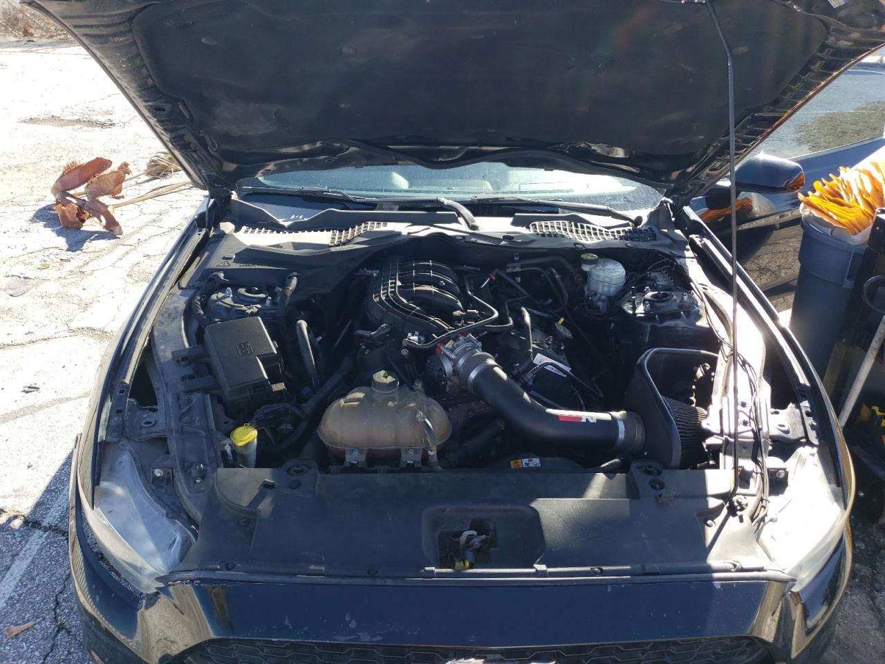 Photo 10 VIN: 1FA6P8AM4G5209265 - FORD MUSTANG 