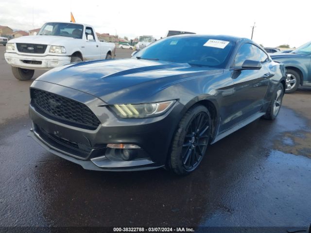 Photo 1 VIN: 1FA6P8AM4G5230956 - FORD MUSTANG 