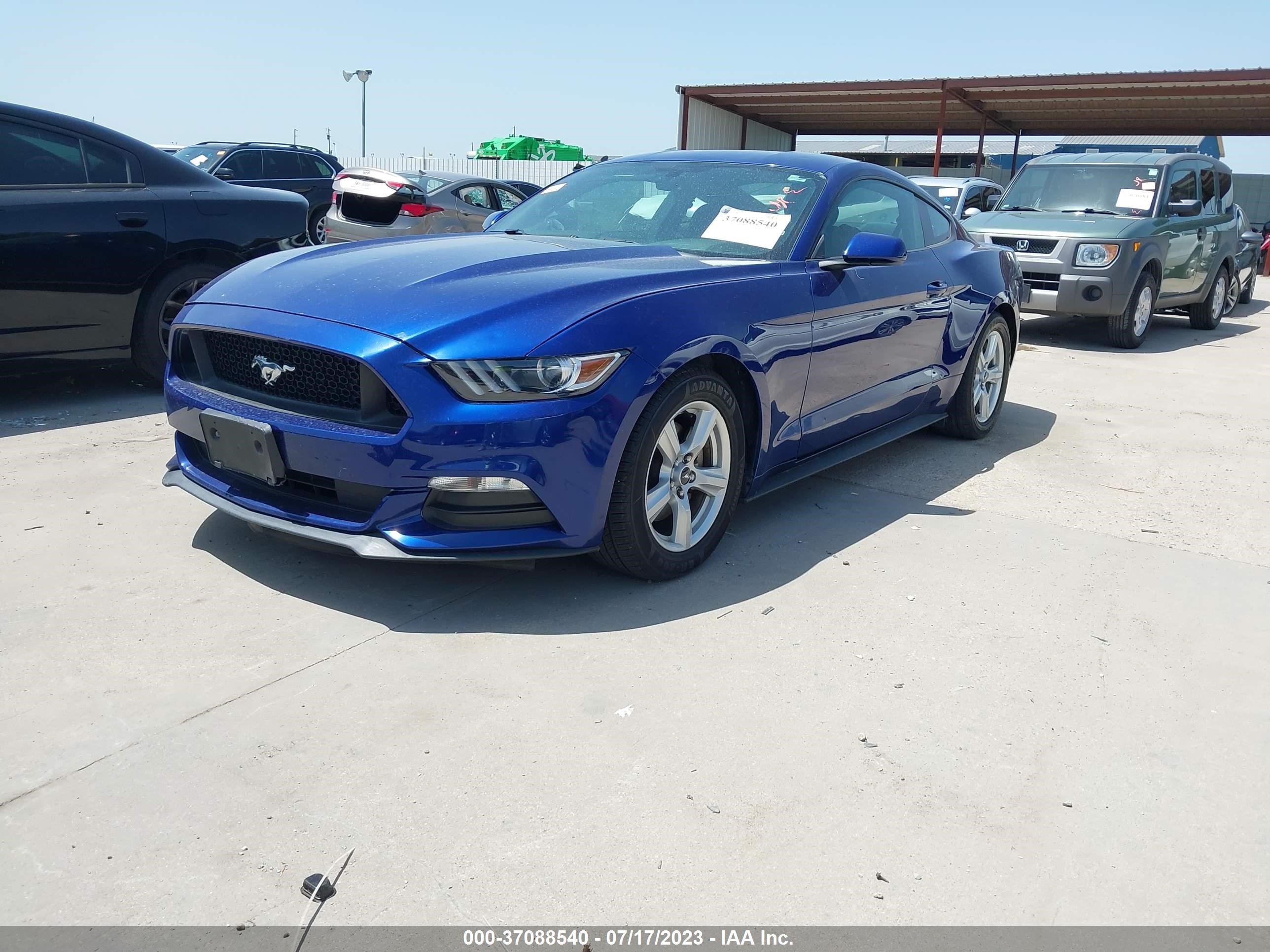 Photo 1 VIN: 1FA6P8AM4G5272561 - FORD MUSTANG 