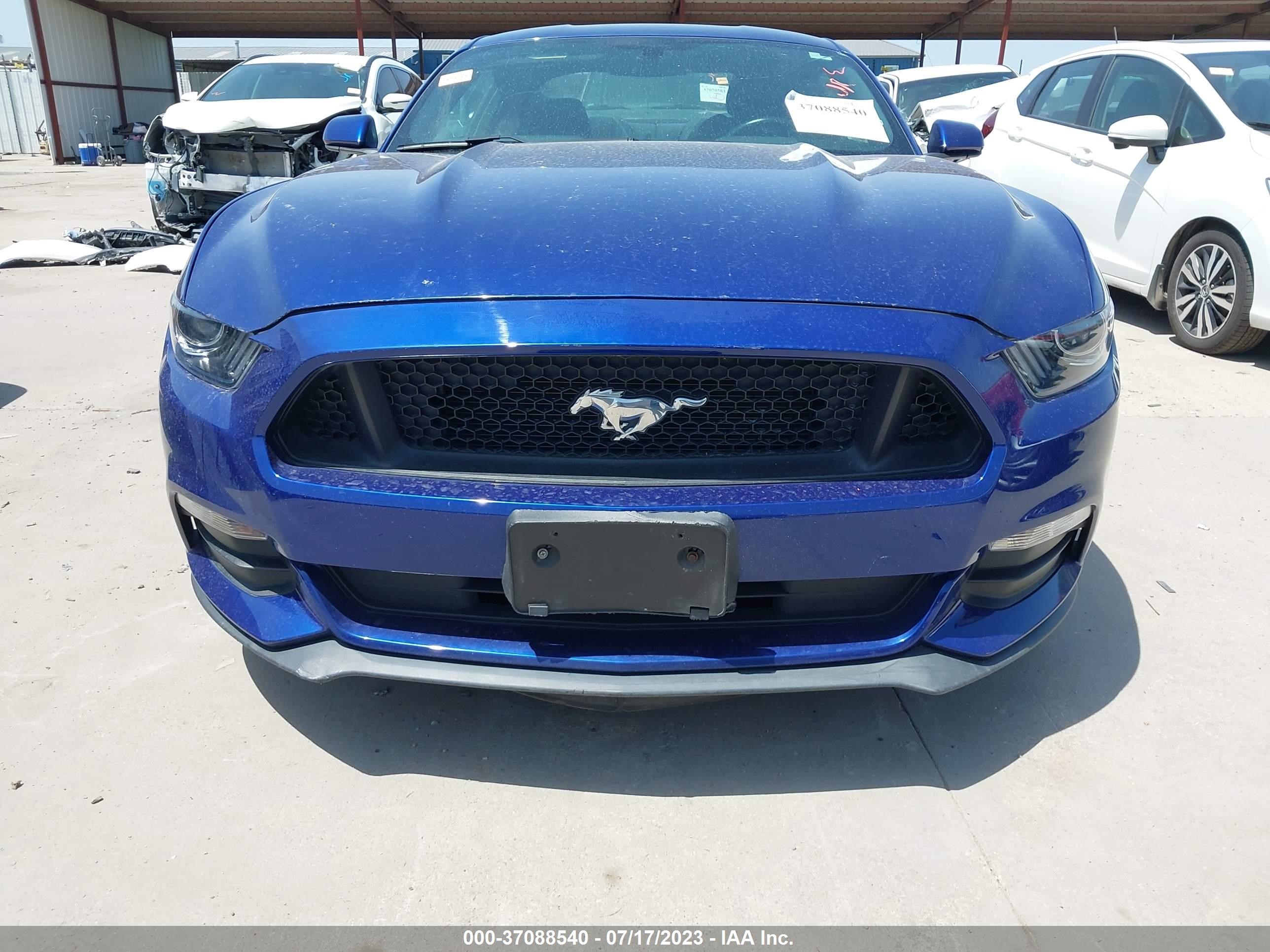 Photo 11 VIN: 1FA6P8AM4G5272561 - FORD MUSTANG 