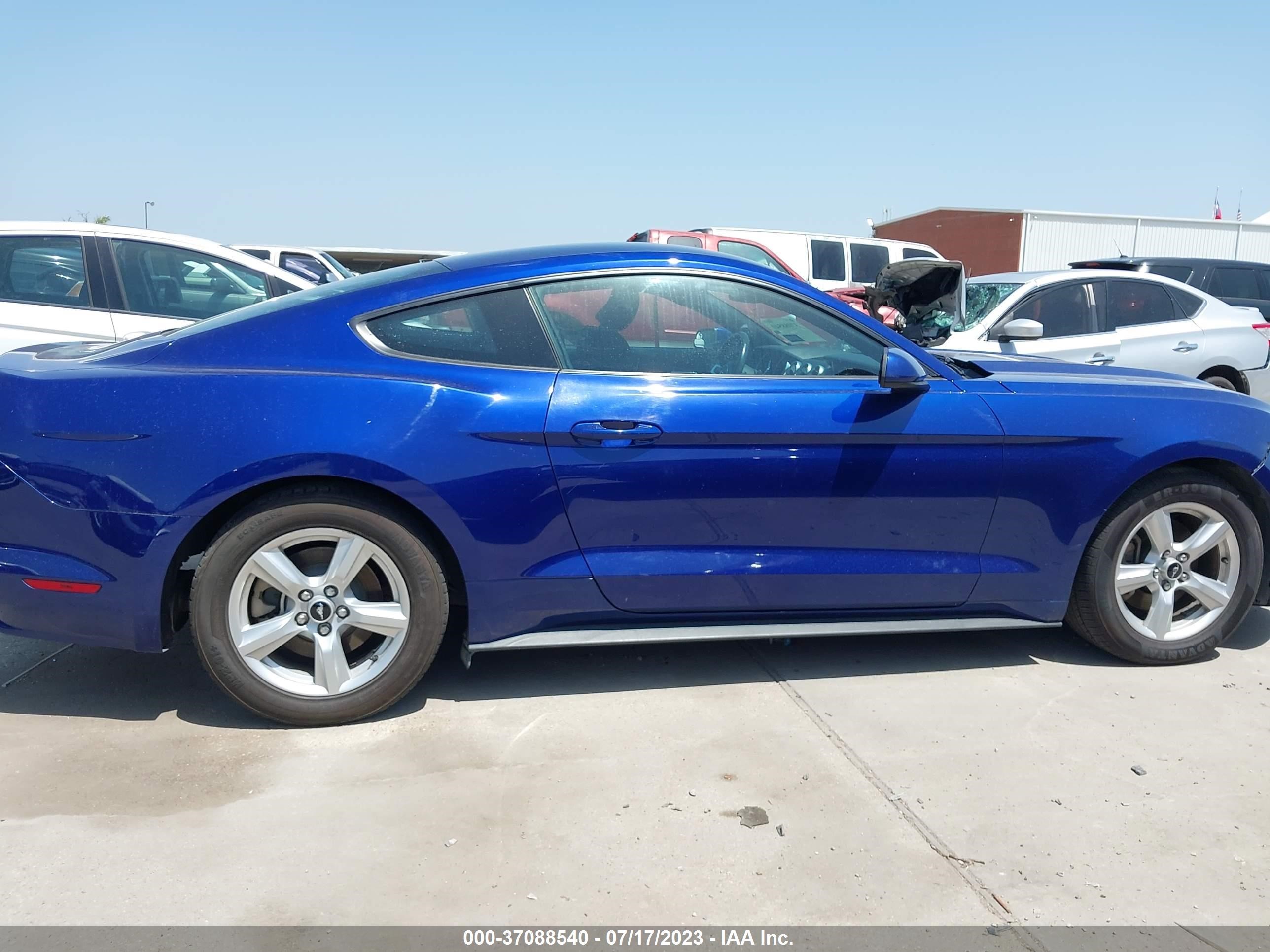 Photo 12 VIN: 1FA6P8AM4G5272561 - FORD MUSTANG 