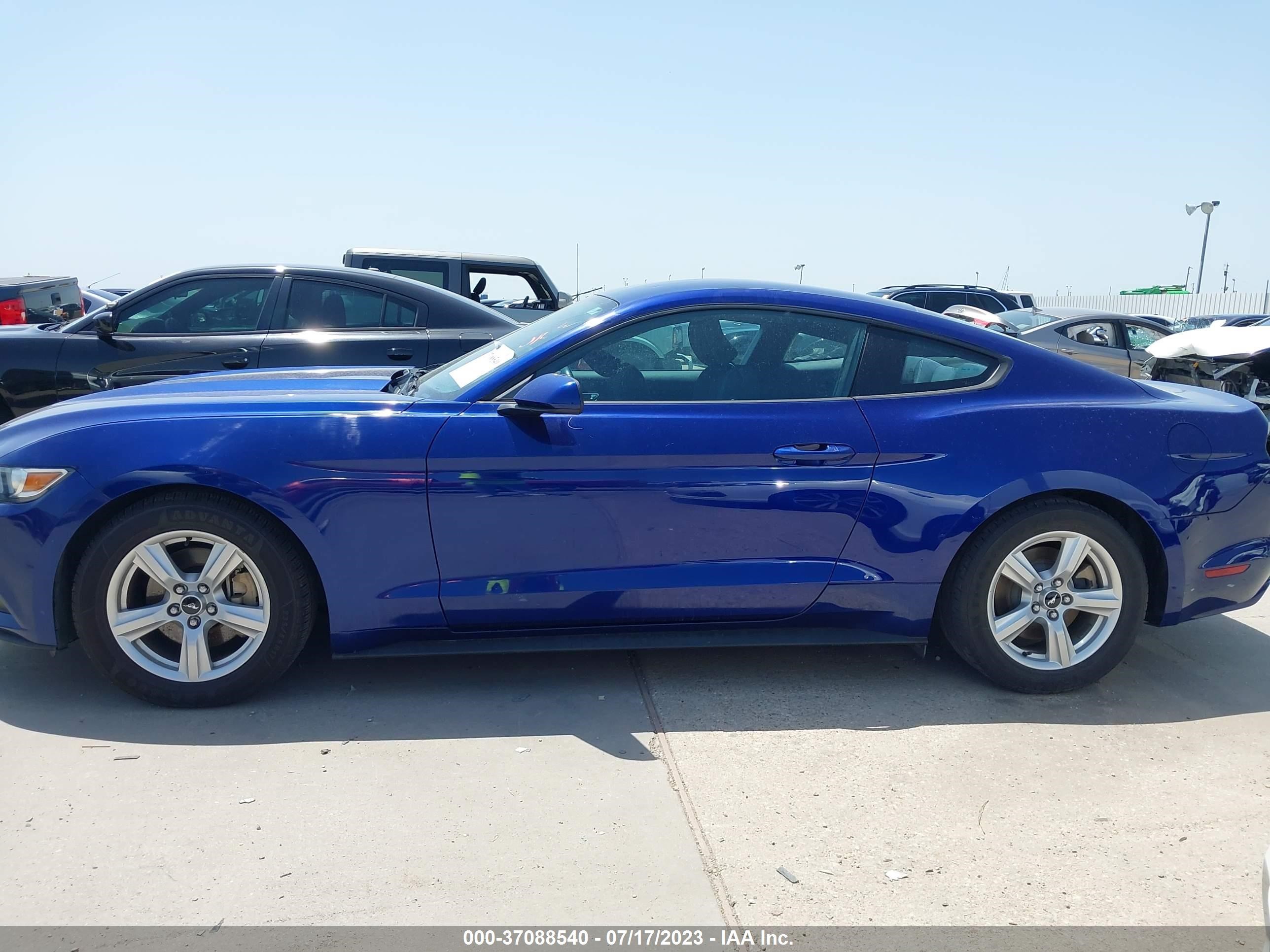 Photo 13 VIN: 1FA6P8AM4G5272561 - FORD MUSTANG 