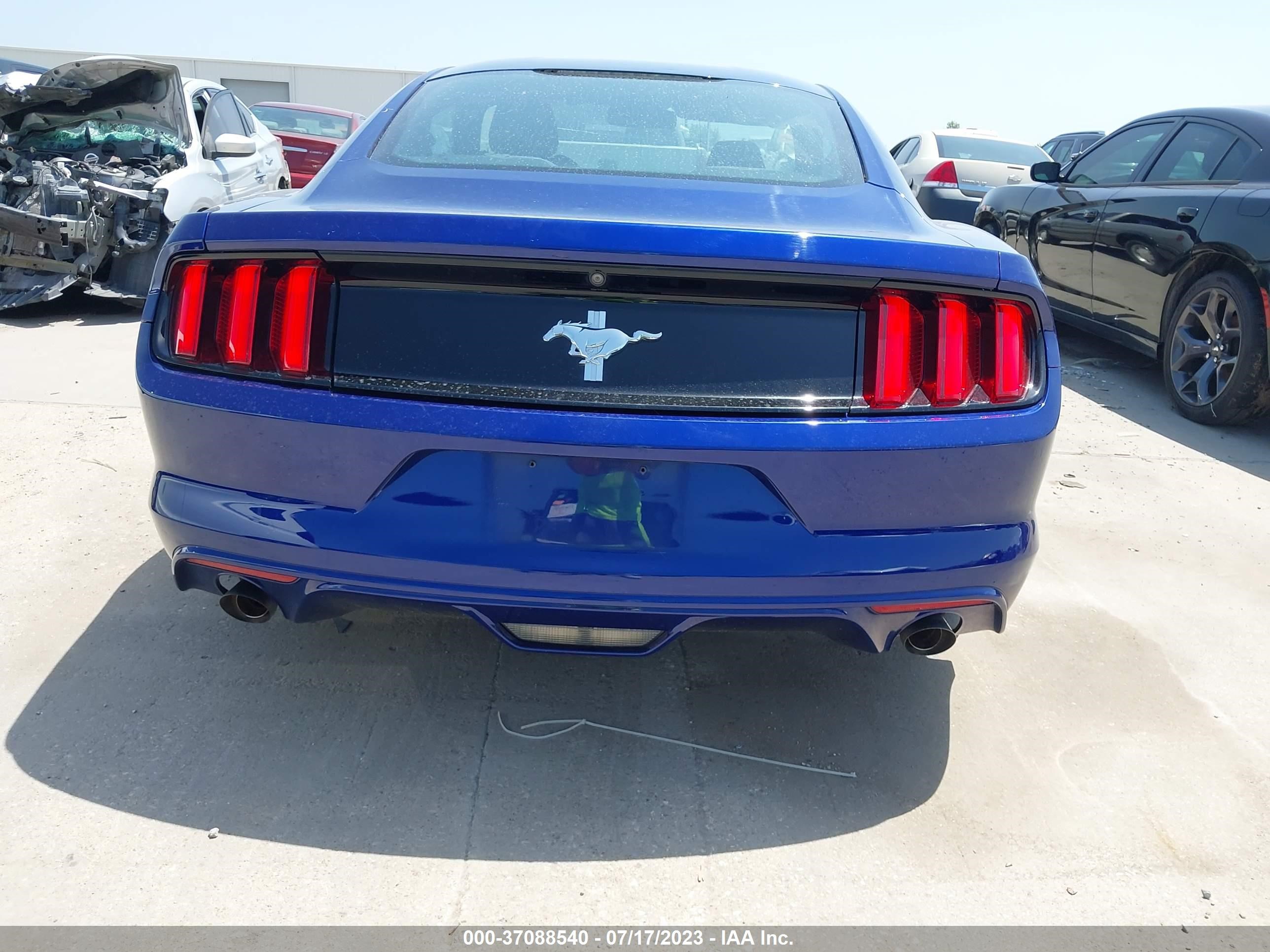 Photo 15 VIN: 1FA6P8AM4G5272561 - FORD MUSTANG 