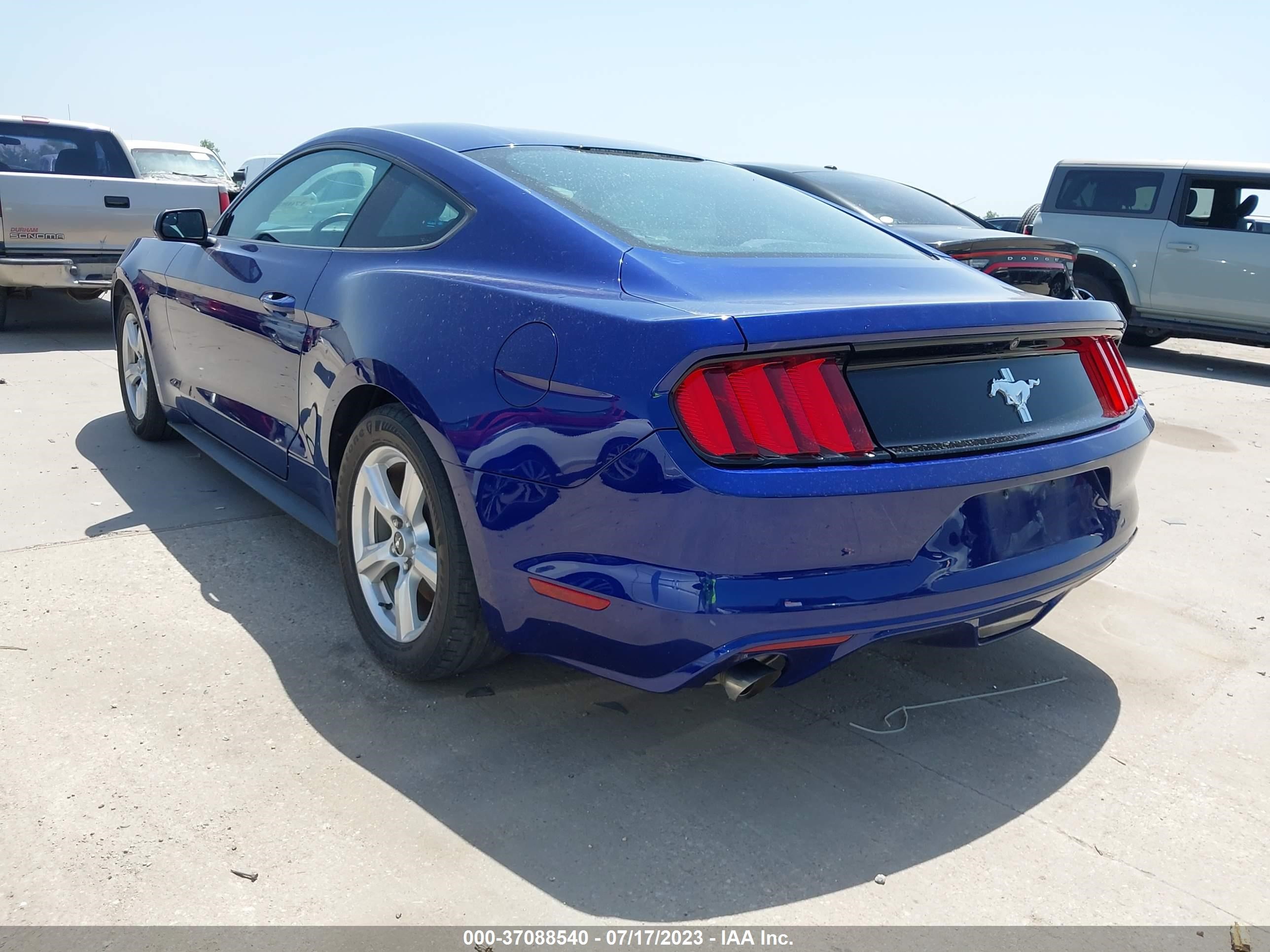 Photo 2 VIN: 1FA6P8AM4G5272561 - FORD MUSTANG 