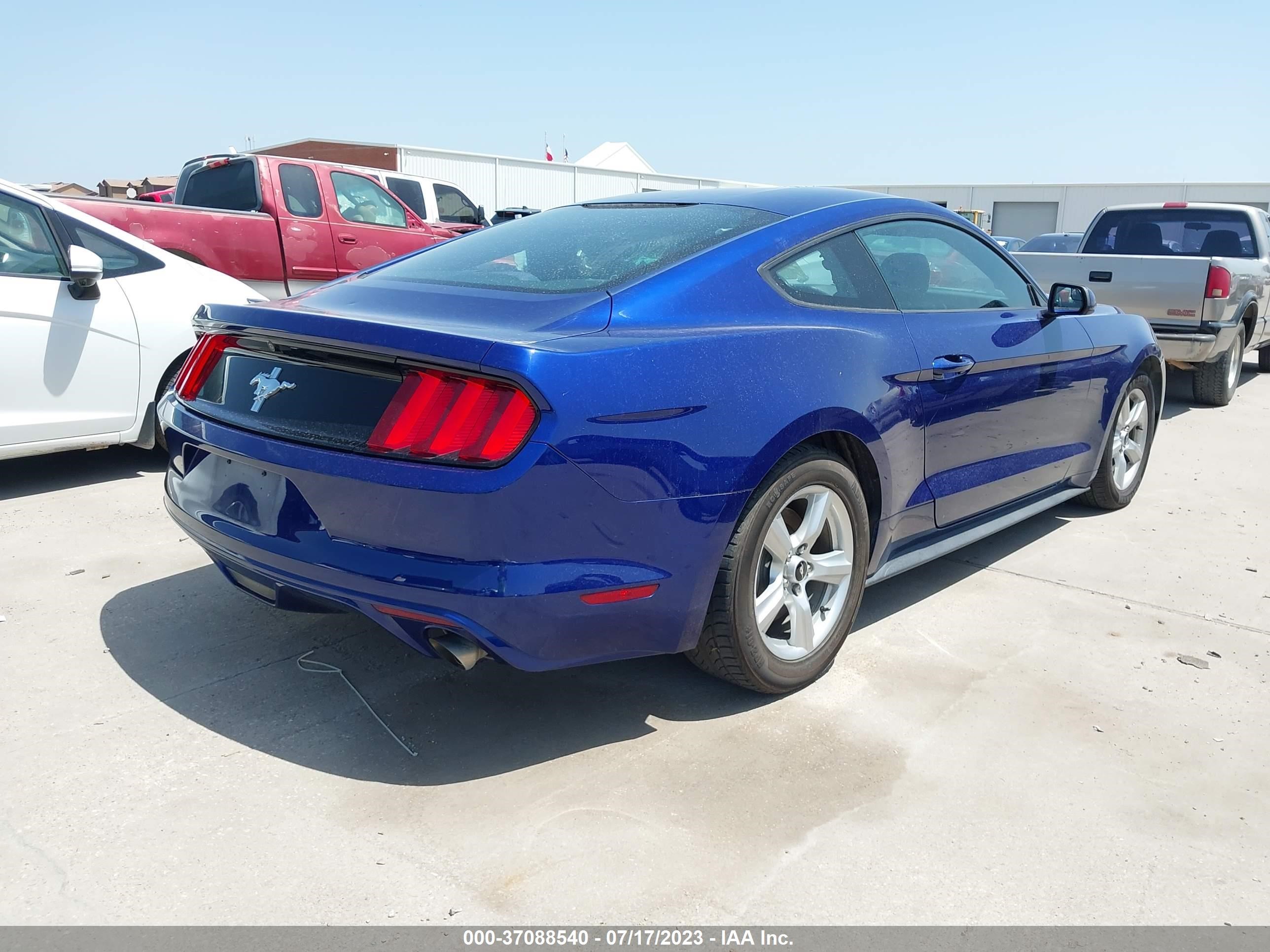 Photo 3 VIN: 1FA6P8AM4G5272561 - FORD MUSTANG 