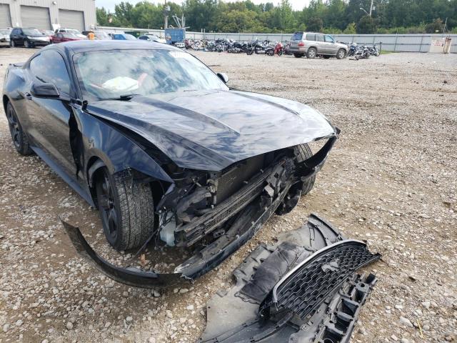 Photo 8 VIN: 1FA6P8AM4G5277050 - FORD MUSTANG 