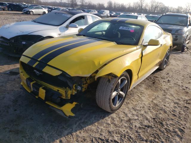 Photo 1 VIN: 1FA6P8AM4G5292566 - FORD MUSTANG 