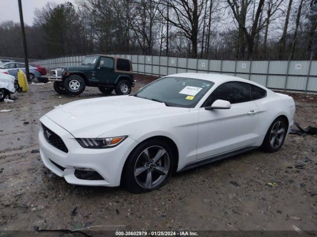 Photo 1 VIN: 1FA6P8AM4G5292616 - FORD MUSTANG 