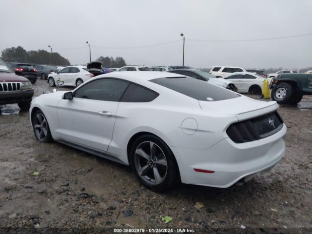 Photo 2 VIN: 1FA6P8AM4G5292616 - FORD MUSTANG 