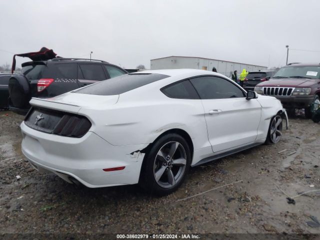 Photo 3 VIN: 1FA6P8AM4G5292616 - FORD MUSTANG 