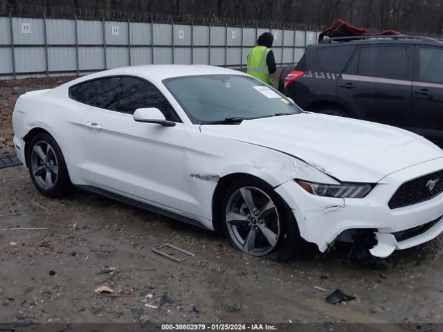 Photo 5 VIN: 1FA6P8AM4G5292616 - FORD MUSTANG 