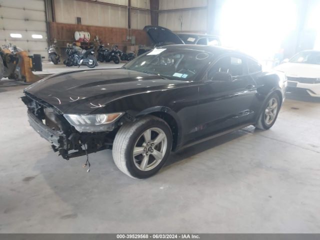 Photo 1 VIN: 1FA6P8AM4G5302996 - FORD MUSTANG 