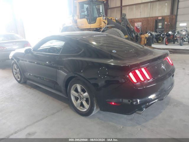 Photo 2 VIN: 1FA6P8AM4G5302996 - FORD MUSTANG 