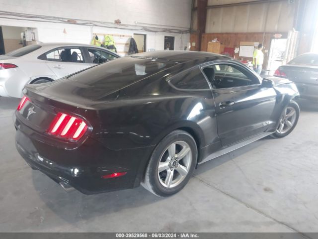 Photo 3 VIN: 1FA6P8AM4G5302996 - FORD MUSTANG 