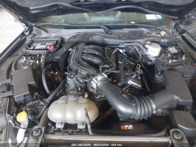 Photo 9 VIN: 1FA6P8AM4G5302996 - FORD MUSTANG 