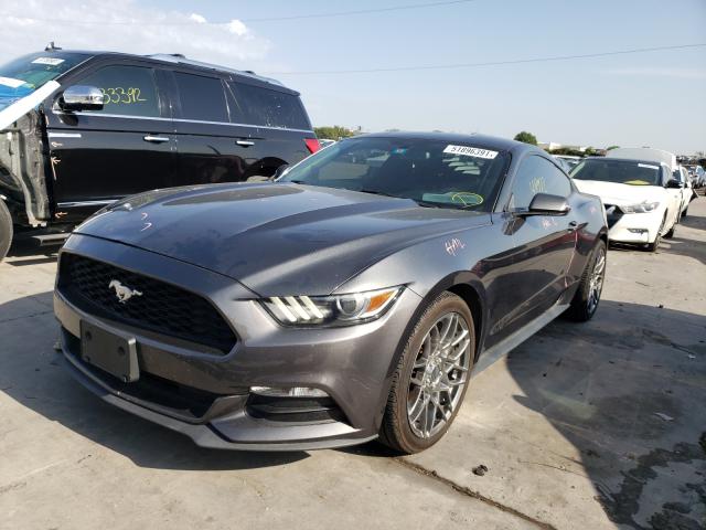 Photo 1 VIN: 1FA6P8AM4G5303033 - FORD MUSTANG 