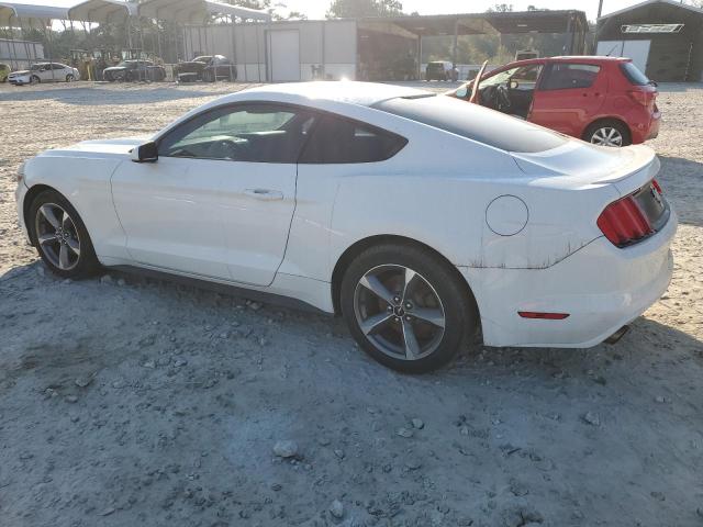 Photo 1 VIN: 1FA6P8AM4G5321127 - FORD MUSTANG 