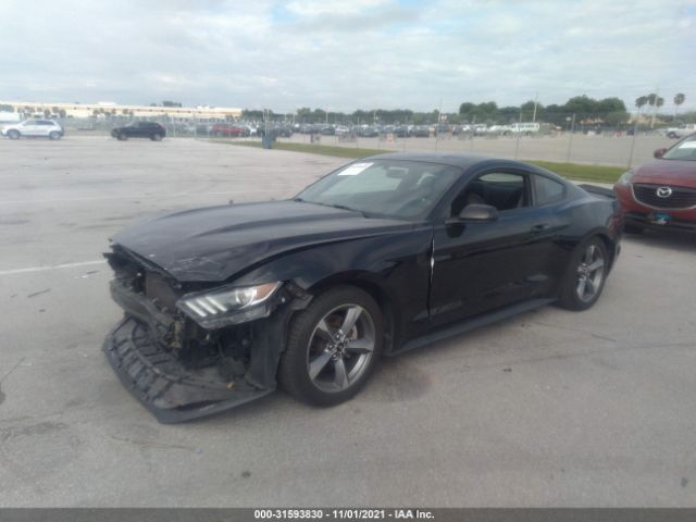 Photo 1 VIN: 1FA6P8AM4G5321788 - FORD MUSTANG 