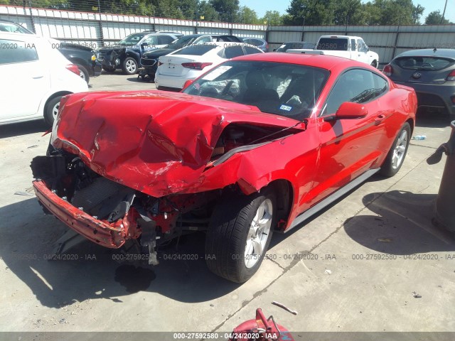 Photo 1 VIN: 1FA6P8AM4H5225161 - FORD MUSTANG 