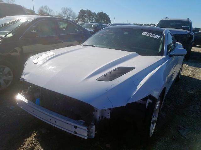 Photo 1 VIN: 1FA6P8AM4H5244387 - FORD MUSTANG 