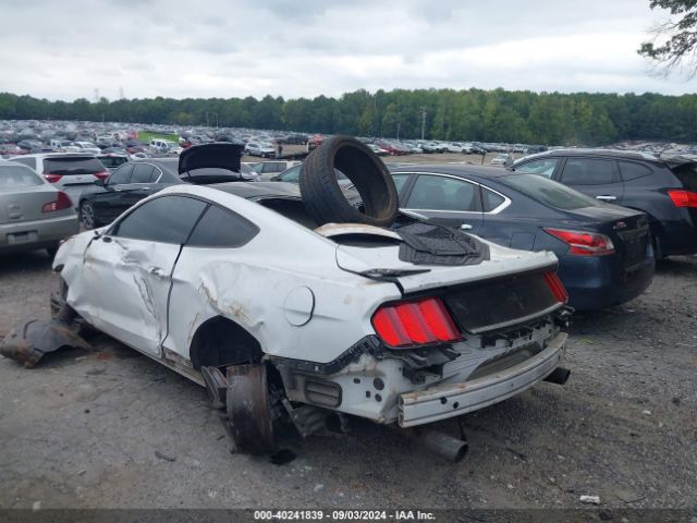 Photo 2 VIN: 1FA6P8AM4H5255728 - FORD MUSTANG 