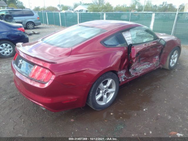 Photo 3 VIN: 1FA6P8AM4H5264803 - FORD MUSTANG 