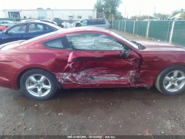 Photo 5 VIN: 1FA6P8AM4H5264803 - FORD MUSTANG 