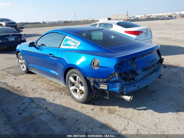 Photo 2 VIN: 1FA6P8AM4H5271573 - FORD MUSTANG 