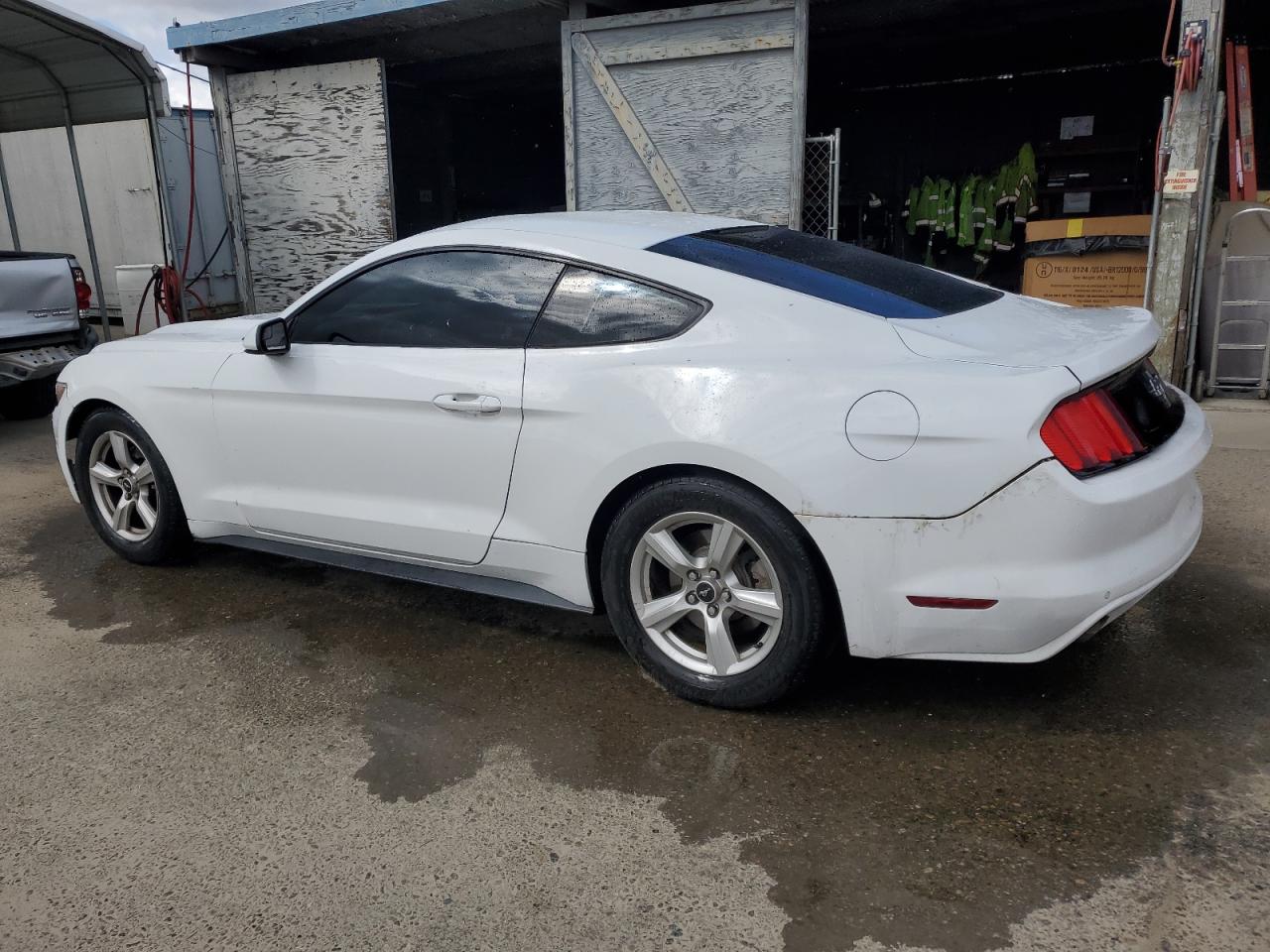 Photo 1 VIN: 1FA6P8AM4H5286980 - FORD MUSTANG 