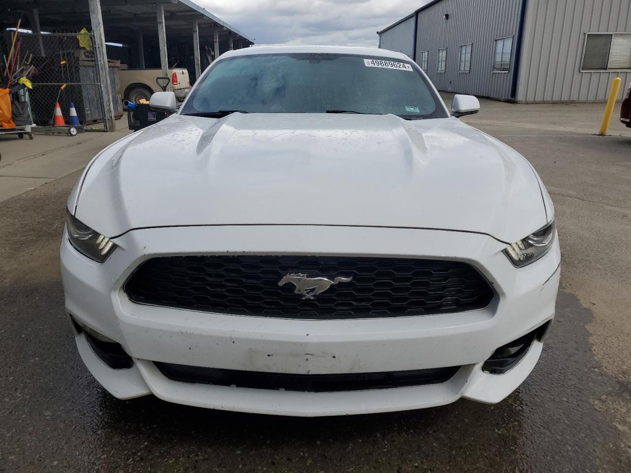 Photo 4 VIN: 1FA6P8AM4H5286980 - FORD MUSTANG 