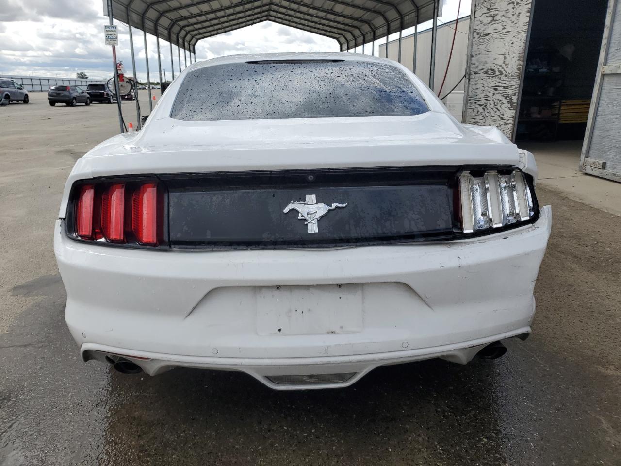 Photo 5 VIN: 1FA6P8AM4H5286980 - FORD MUSTANG 