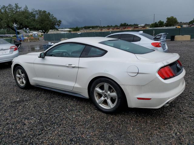 Photo 1 VIN: 1FA6P8AM4H5289927 - FORD MUSTANG 