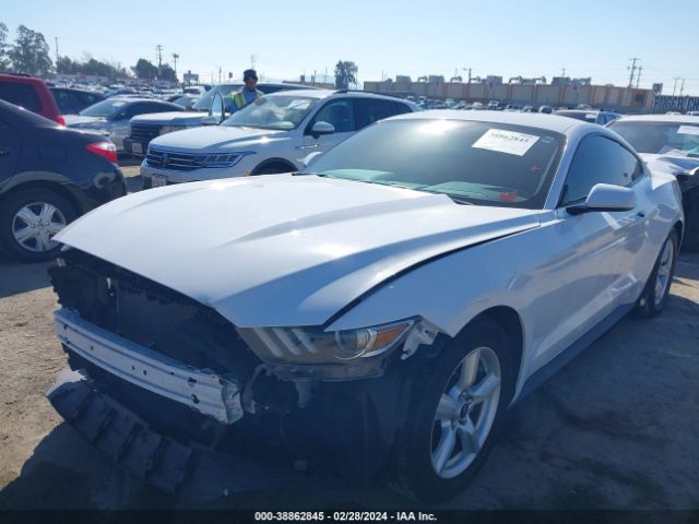 Photo 1 VIN: 1FA6P8AM4H5344716 - FORD MUSTANG 