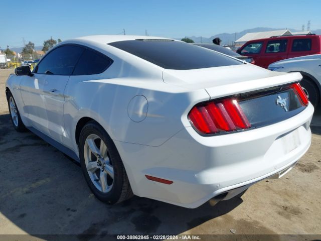 Photo 2 VIN: 1FA6P8AM4H5344716 - FORD MUSTANG 