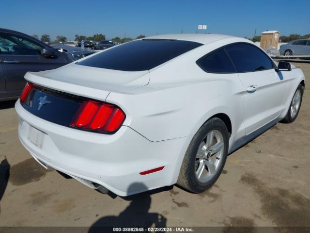 Photo 3 VIN: 1FA6P8AM4H5344716 - FORD MUSTANG 