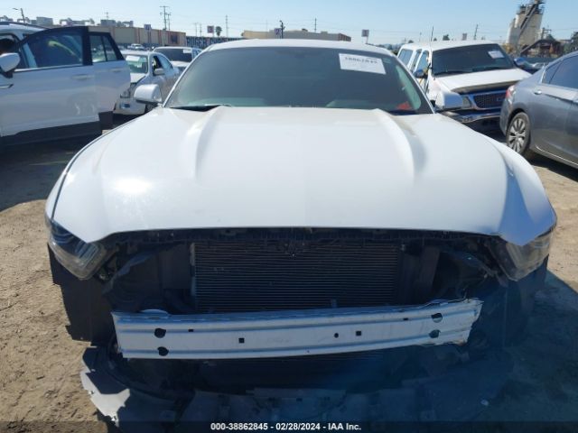 Photo 5 VIN: 1FA6P8AM4H5344716 - FORD MUSTANG 