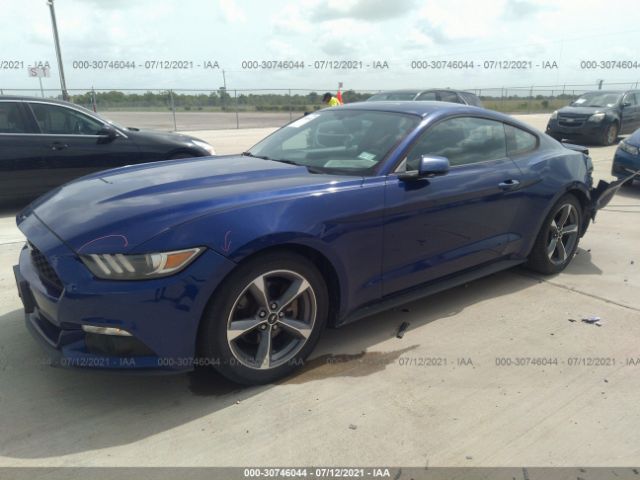 Photo 1 VIN: 1FA6P8AM5F5314007 - FORD MUSTANG 